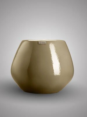 VASO 3